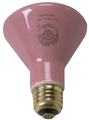 Accessories – (250 watt) Ceramic Bulb – each – 18-1370
