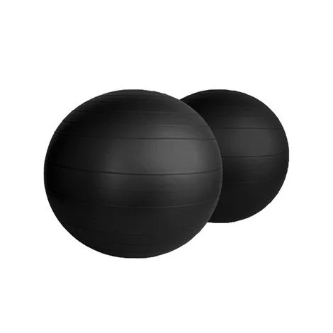 Aeromat Fitness Ball