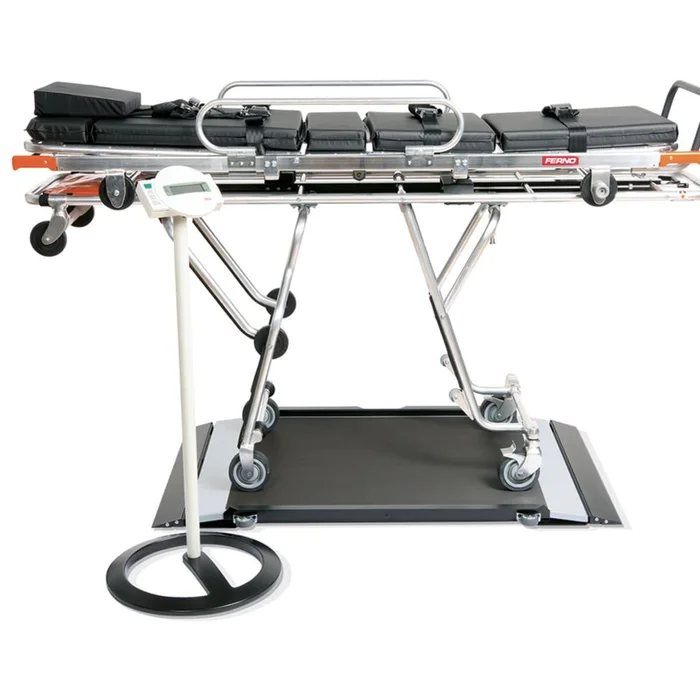 Alimed seca 656 Platform Scale seca 656 Platform Scale – 936102