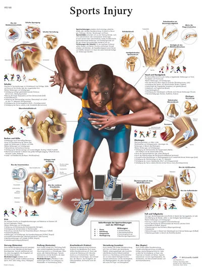 Anatomical Chart – sports injuries, paper – 12-4623P