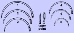 Anchor Products Anchor Suture Needle 1/2 Circle Taper Point Needle McGowan Type Size 1 Needle – 1859-1DC