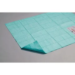 Aspen Surgical Products Absorbent Floor Mat SurgiSafe Standard 30 X 40 Inch Green, 1/EA