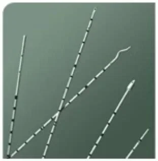 Bard Bard Urethral Catheter Spiral Tip Polyurethane 4 Fr. 70 cm – 137904