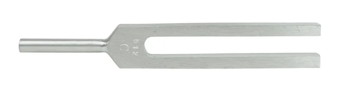Baseline Tuning Fork – 512 cps