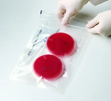 BD BD GasPak Anaerobe Pouch System BD Gaspak – 260683