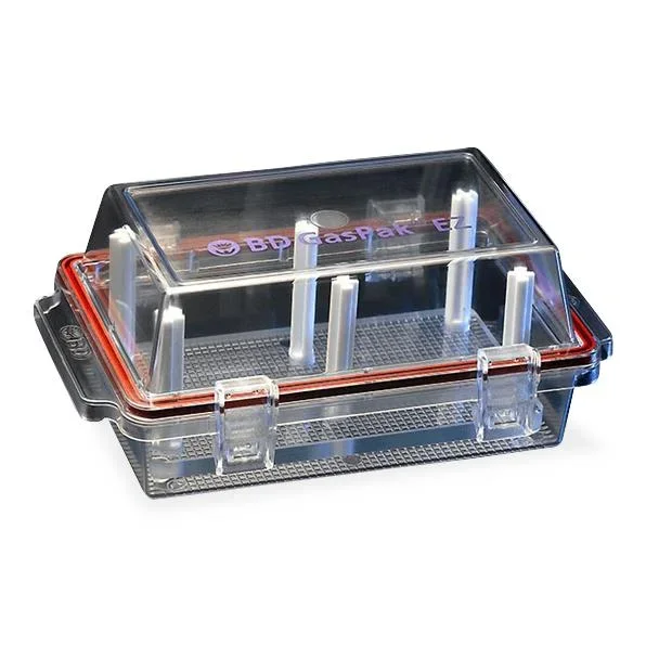 BD GasPak EZ Anaerobe Container System Sachet For EZ Container System – 260001