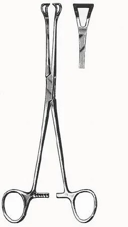 BR Surgical HerMann Medizintechnik Grasping Forceps Babcock 6 Inch Surgical Grade Stainless Steel / Tungsten Carbide Ratchet Lock Finger Ring Handle Curved Serrated Fenestrated Triangular Tips – H164-16016