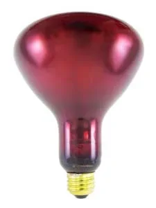 Brandt Industries Infrared Lamp 175 Watts – 58