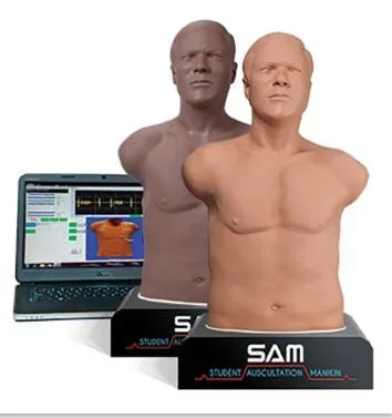 Cardionics Sam 3G Student Auscultation Manikin Male – 718-8902