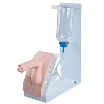 Catheterization simulator BASIC male – 12-4841
