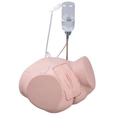 Catheterization simulator PRO, Female – 12-4843
