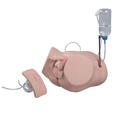 Catheterization simulator PRO SET F/M – 12-4845