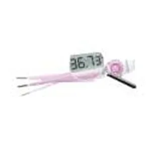 Clearblue Easy Pregnancy Test (2 Count)