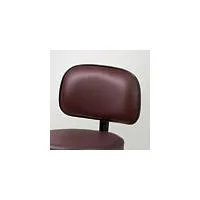 Clinton Value Series 5-Leg Spin Lift Stool with Backrest, Nylon Base, Graphite