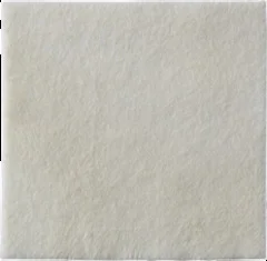 Coloplast Calcium Alginate Dressing Biatain 6 x 6 Square Calcium Alginate / Carboxylmethylcellulose (CMC) Sterile, 10 EA/BX