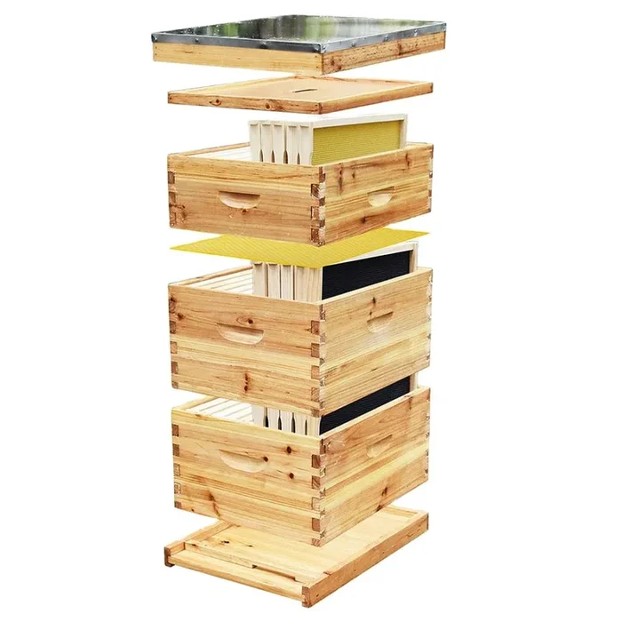 Complete Langstroth Beehive Kit I 10-Frame Bee Hive for Comprehensive Beekeeping