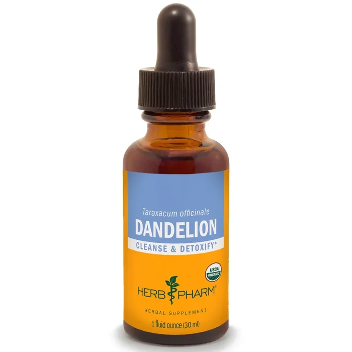 Dandelion