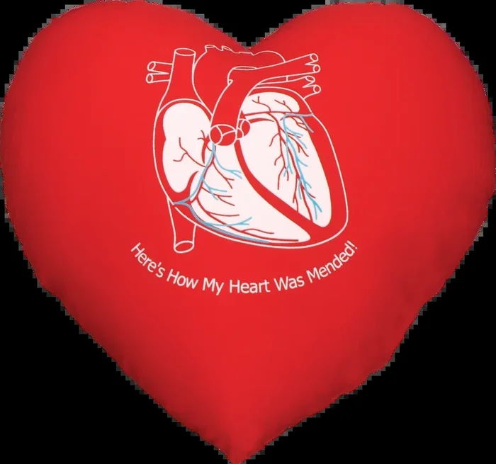 DeRoyal Cardiac Cushion – 10 Per Case