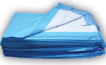 Dukal Dukal Underpad DUKAL 23 X 24 Inch Disposable Cellulose Light Absorbency – 12424