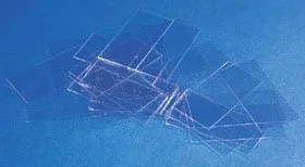 Erie Scientific Cover Glass Rectangle #1 Thickness 24 X 55 mm – 24X55-1-001G