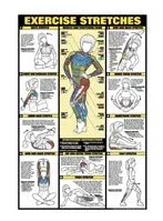 Exercise Stretches Chart 11″ x 16″ by Algra Corporation