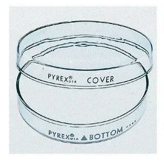 Fisher Scientific Petri Dish Cover Pyrex – 08749C