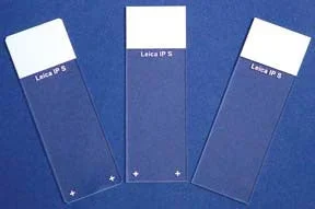 Fisher Scientific Superfrost Plus Microscope Slide Frosted End – 22042924
