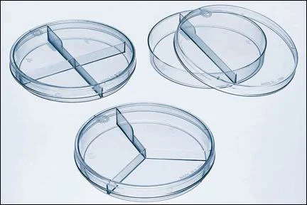 Fisherbrand Compartmentalized Dishes, 100 dia. x 15mm H, 2 Sections, 500/cs