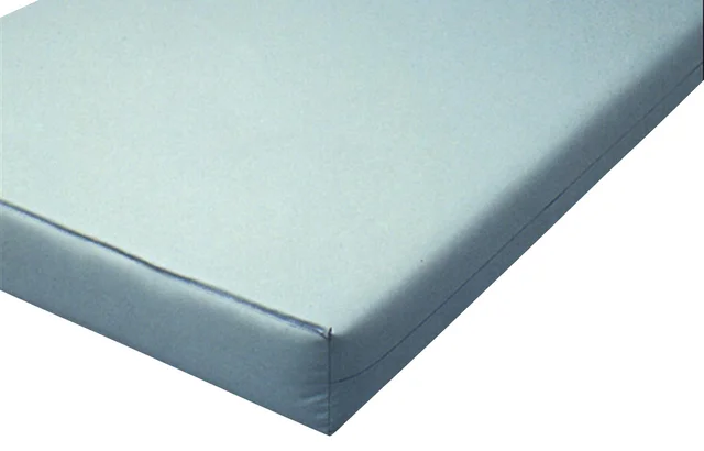 Foam Institutional Mattress, 84″