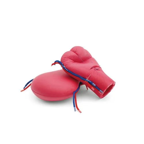 Foam uteri 2 pieces – 1023762