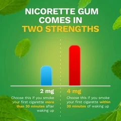 Glaxo Smith Kline Nicorette Stop Smoking Aid Gum, Spearmint Burst/Chamomile, 4mg, 100 per Carton - Image 4