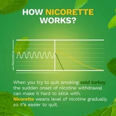 Glaxo Smith Kline Nicorette Stop Smoking Aid Gum, Spearmint Burst/Chamomile, 4mg, 100 per Carton - Image 3