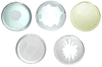 Good-Lite Cataract Lens Set for Eye Model
