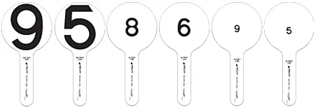 Good-Lite Vision Rehabilitation Training Paddles