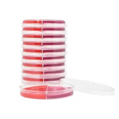 Hardy Diagnostics Prepared Media Blood Agar / MacConkey Biplate Red / Crimson Bi-Plate Format, 10/BX