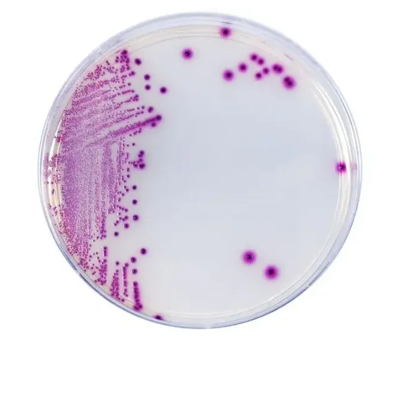 HardyCHROM UTI, Chromogenic Medium 10/Pack