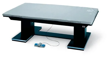 Hausmann Industries Series 1449 Dual Lift Powermatic Mat Platform 8 L X 6 W Foot 19 – 28 Inch Laminate / Aluminum – 1449-68