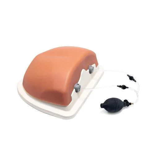 Image Guided Thoracic Spinal Injection Trainer P66 – 1021899