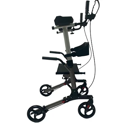 Journey – Certified Pre-owned Perfect Walker