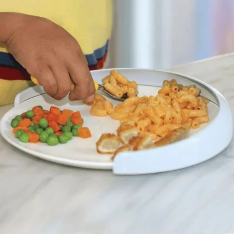 Kinsman My Plate-Mate Food Guard