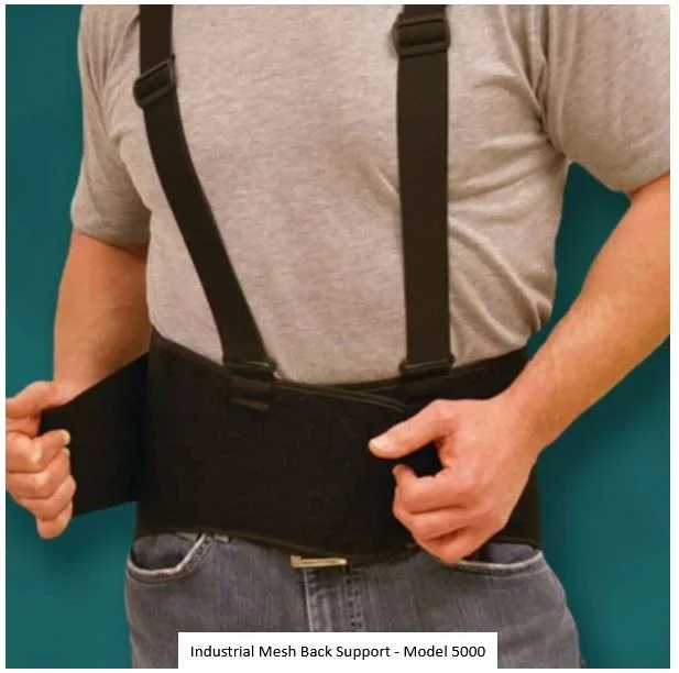 Lohmann & Rauscher Industrial Mesh Back Support – Model 5000
