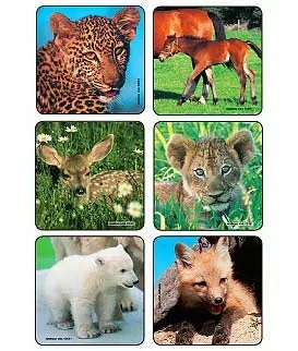 Medibadge Kids Love Stickers 90 Per Unit Baby Animal Photos , Assorted Sticker – 2001P