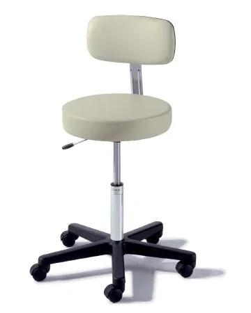 Midmark Ritter 273 Value Series Air Lift Stool Backrest Air Lift, Pneumatic Height Adjustment, Single Lever 5 Casters Shaded Garden – 273-001-853