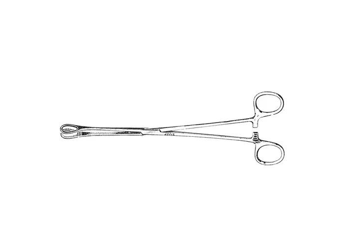 Miltex Jarit Sponge Forceps Foerster 7 Inch Surgical Grade Stainless Steel NonSterile Ratchet Lock Finger Ring Handle Straight Fenestrated, Serrated Oval Tips – 114102