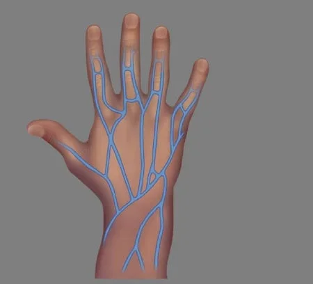 Nasco DVD_Routine Care and Discontinuation Intravenous Therapy – Z47038