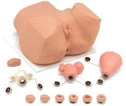 Nasco EVA Gynecological Training Mannequin Female – 160-1900
