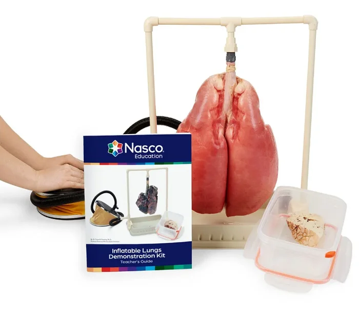 Nasco Inflatable Lung Kit
