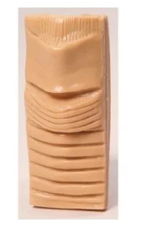 Nasco Life/Form Adult Cricothyrotomy Cartilage – LF01134