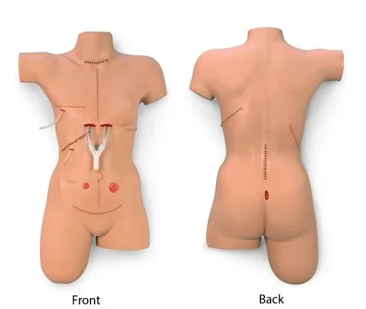 Nasco SIMULATOR, BANDAGING LIFEFORM SURGICAL SALLY – LF00929EX