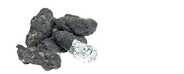 Niles Biological Barn Owl Pellets